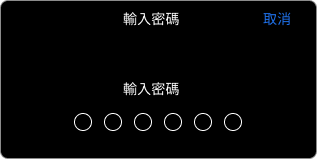 大老爺百家樂APP-IOS下載教學步驟3